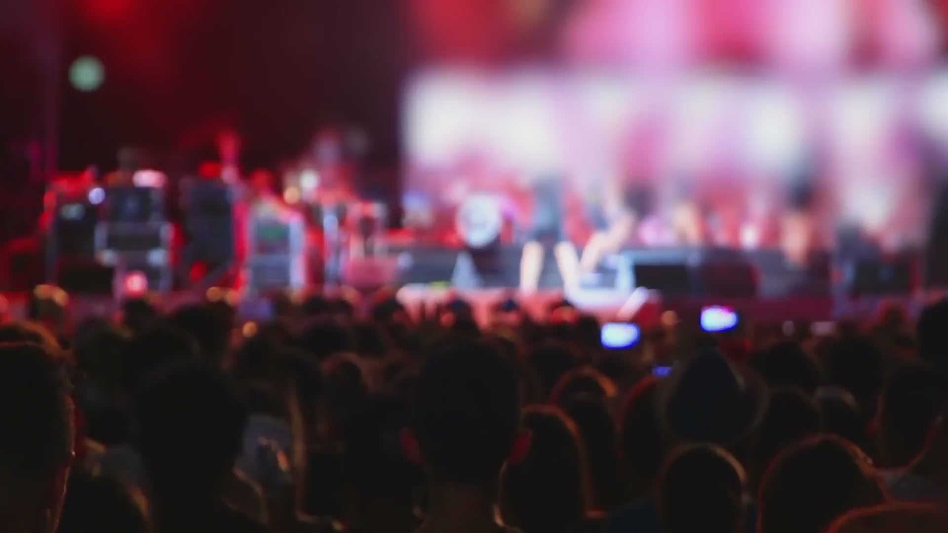 Blurred slow motion of a music concert fans enjoying themselves